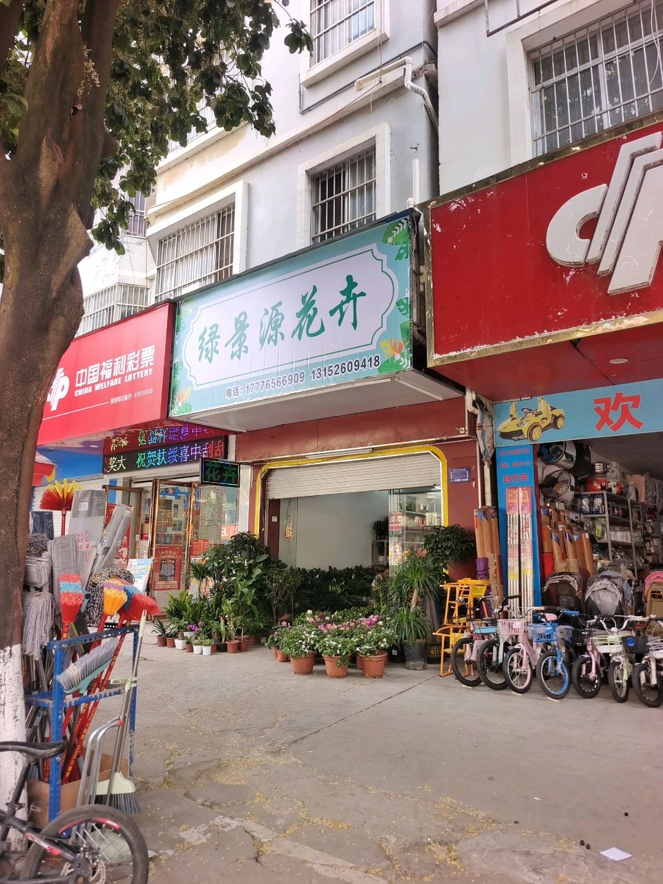 绿源花卉(新民路店)