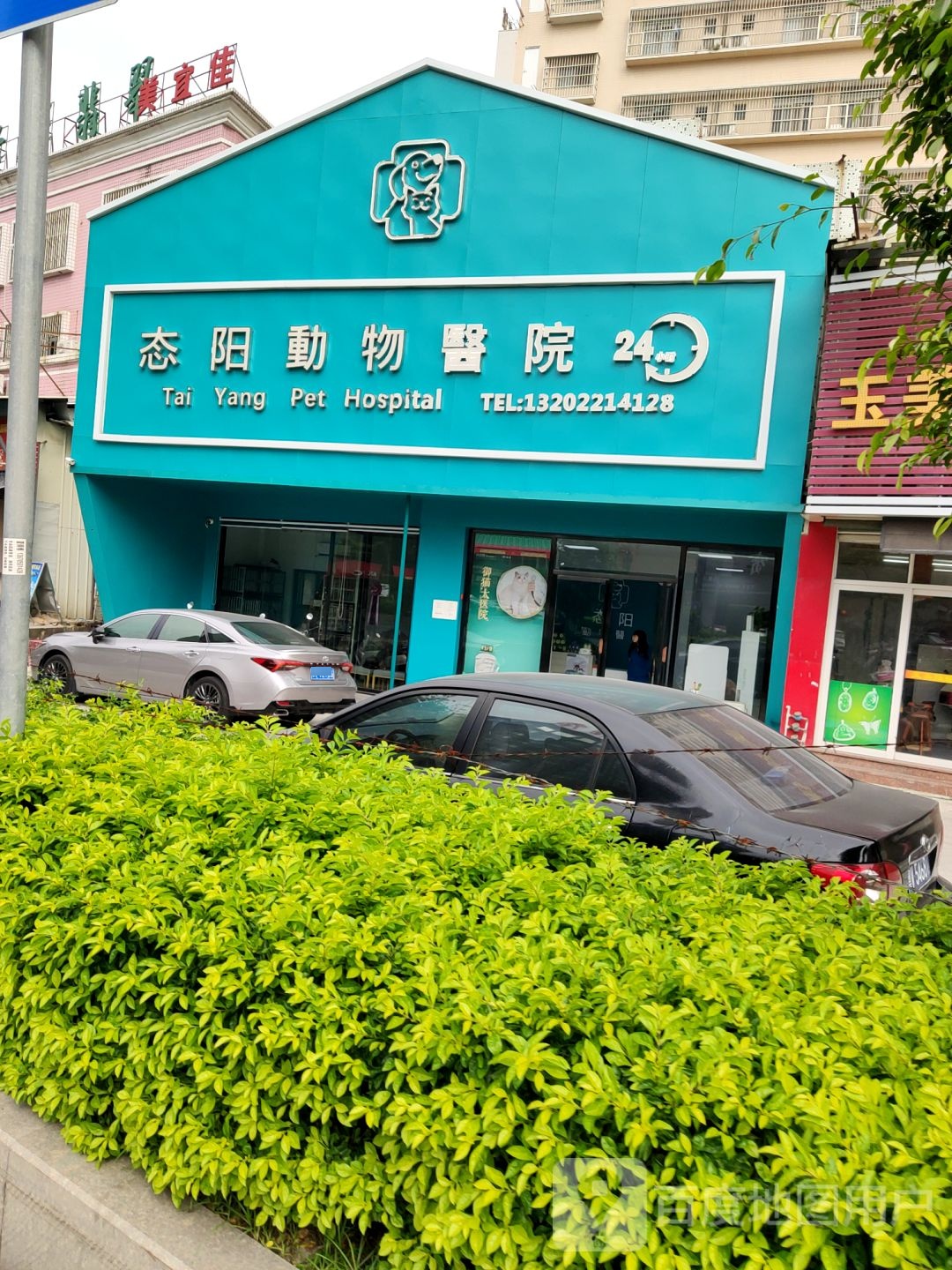 态阳市动医院