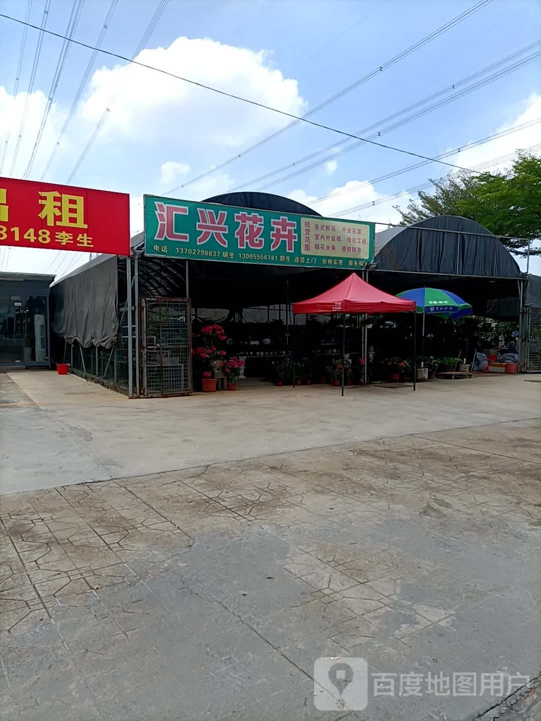 汇兴花卉