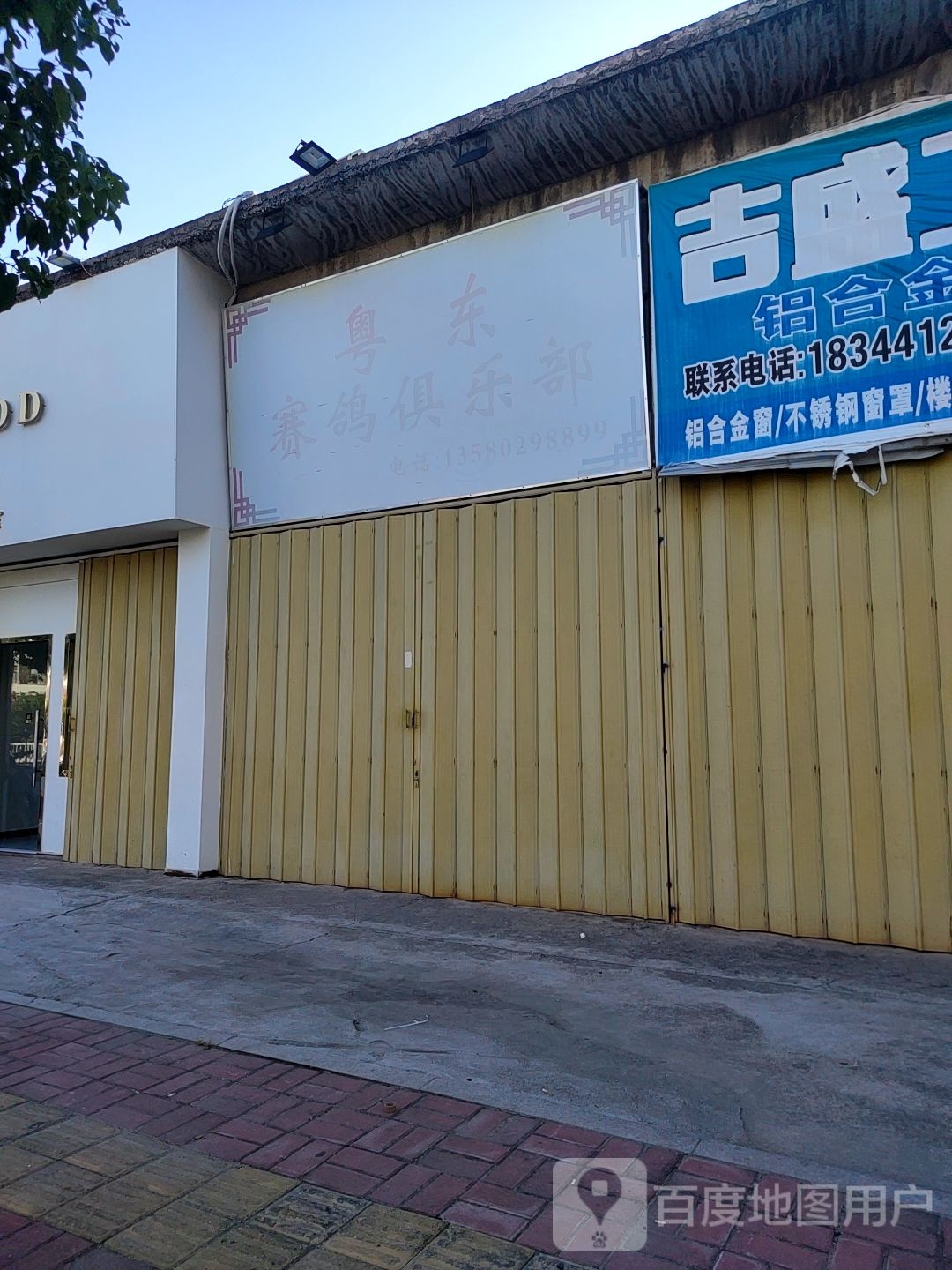 粤东赛鸽俱乐部