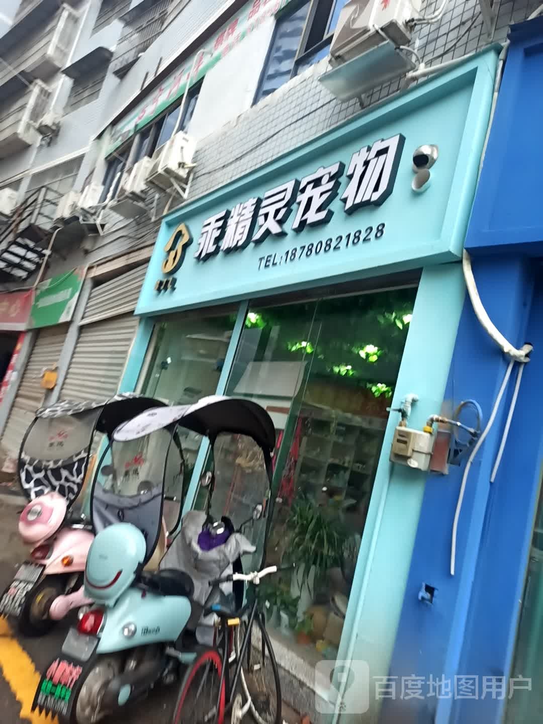 乖精灵宠物