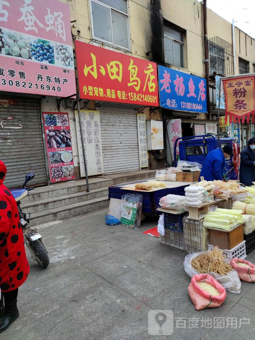 小田鸟店