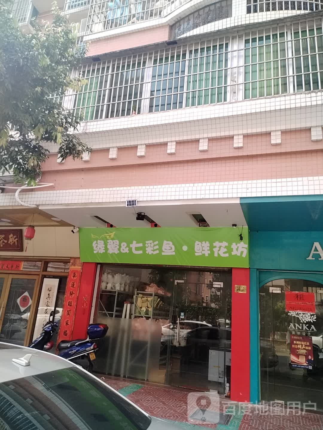 缘翼&七彩鱼鲜花坊