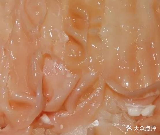 由甲私厨老火锅(悦城店)