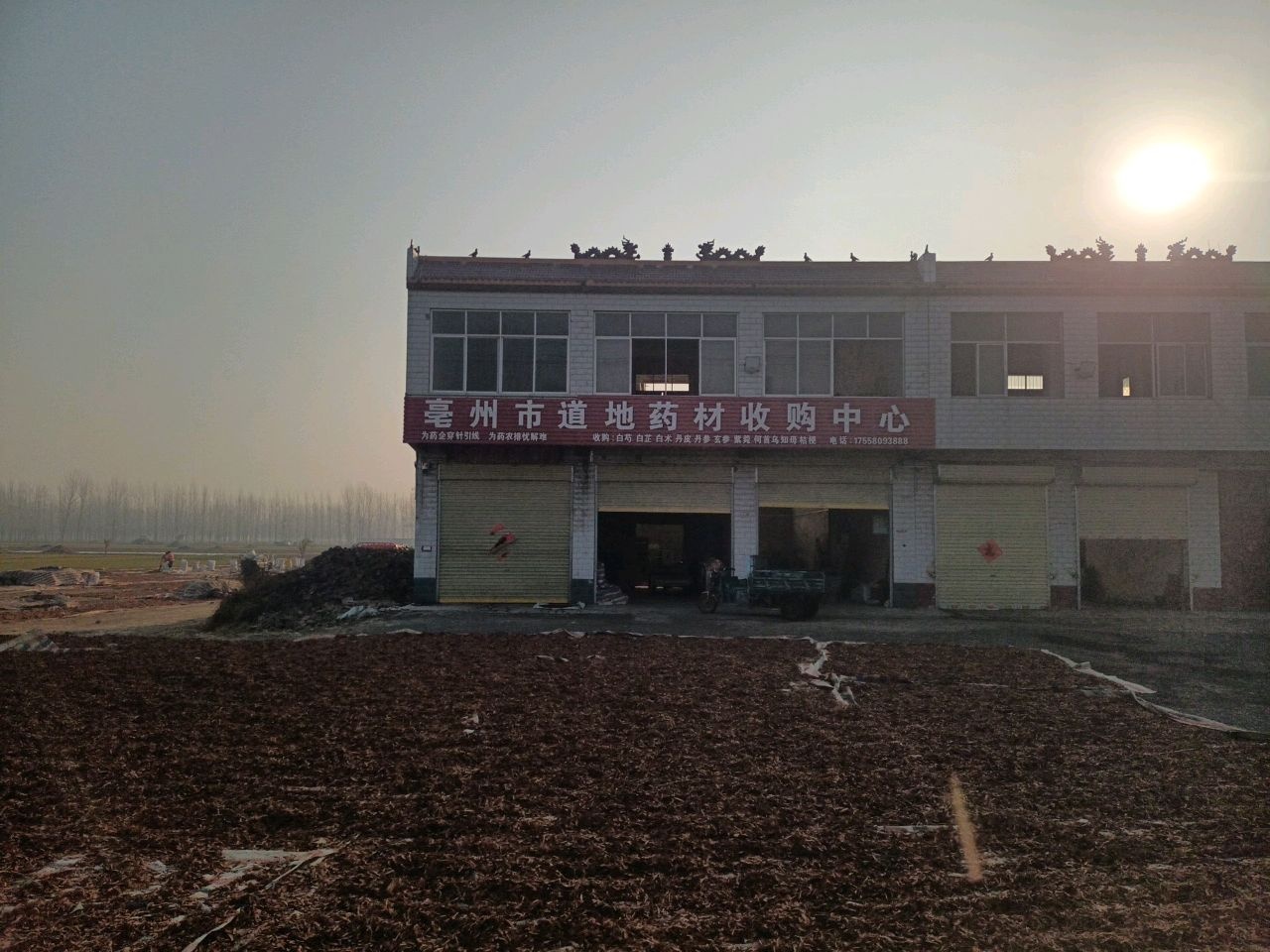 亳州市道地药材收购中心