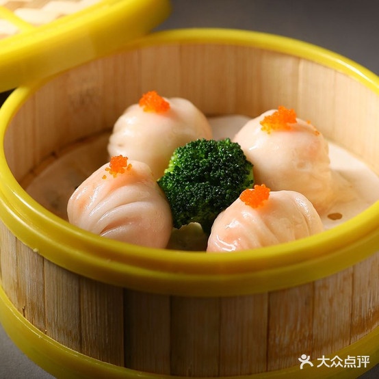 嫂颞视吕