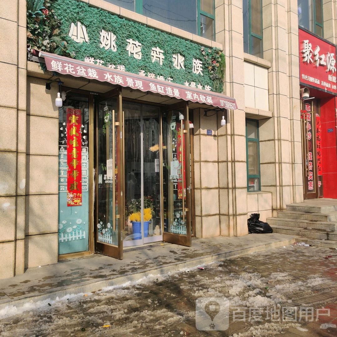 小姚花卉水族