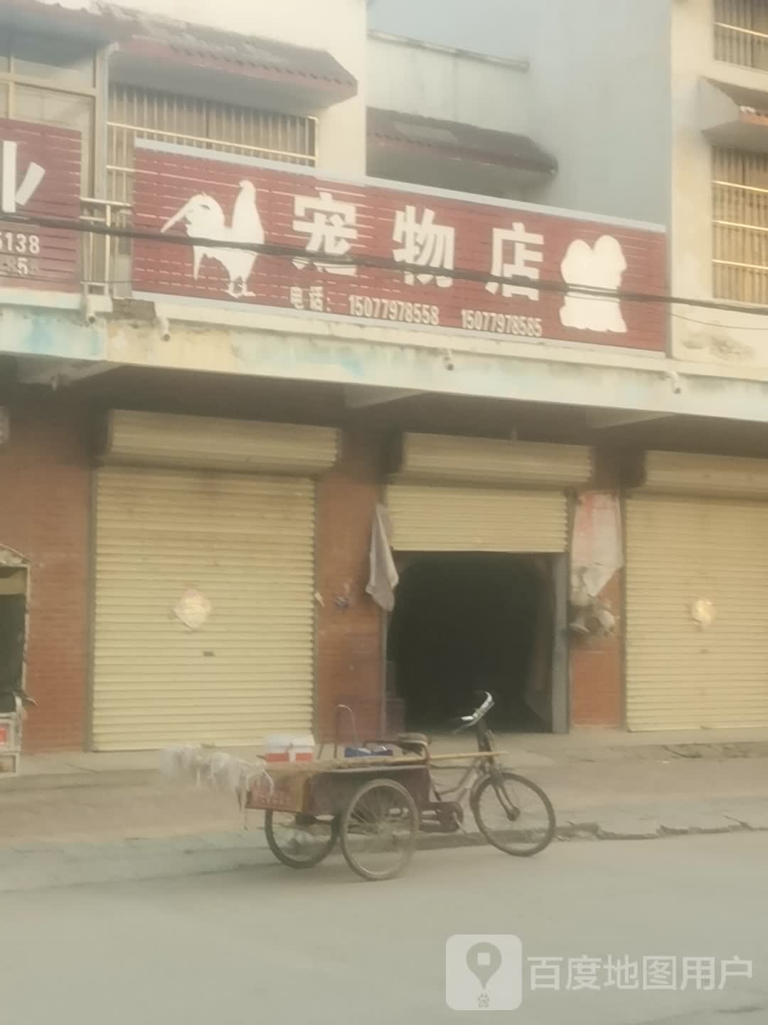 宠物店