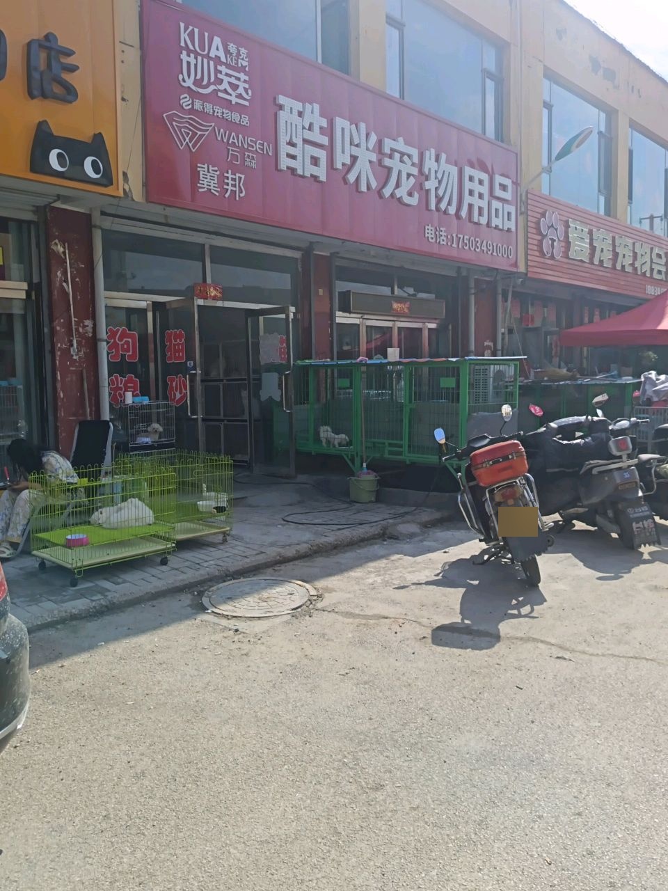 爱宠宠物会所