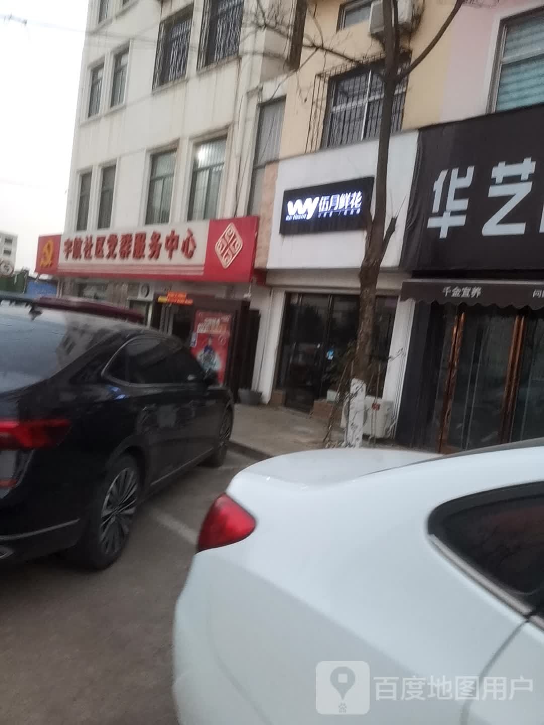 伍月鲜花
