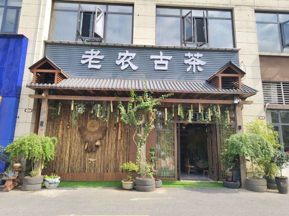 老农古茶店