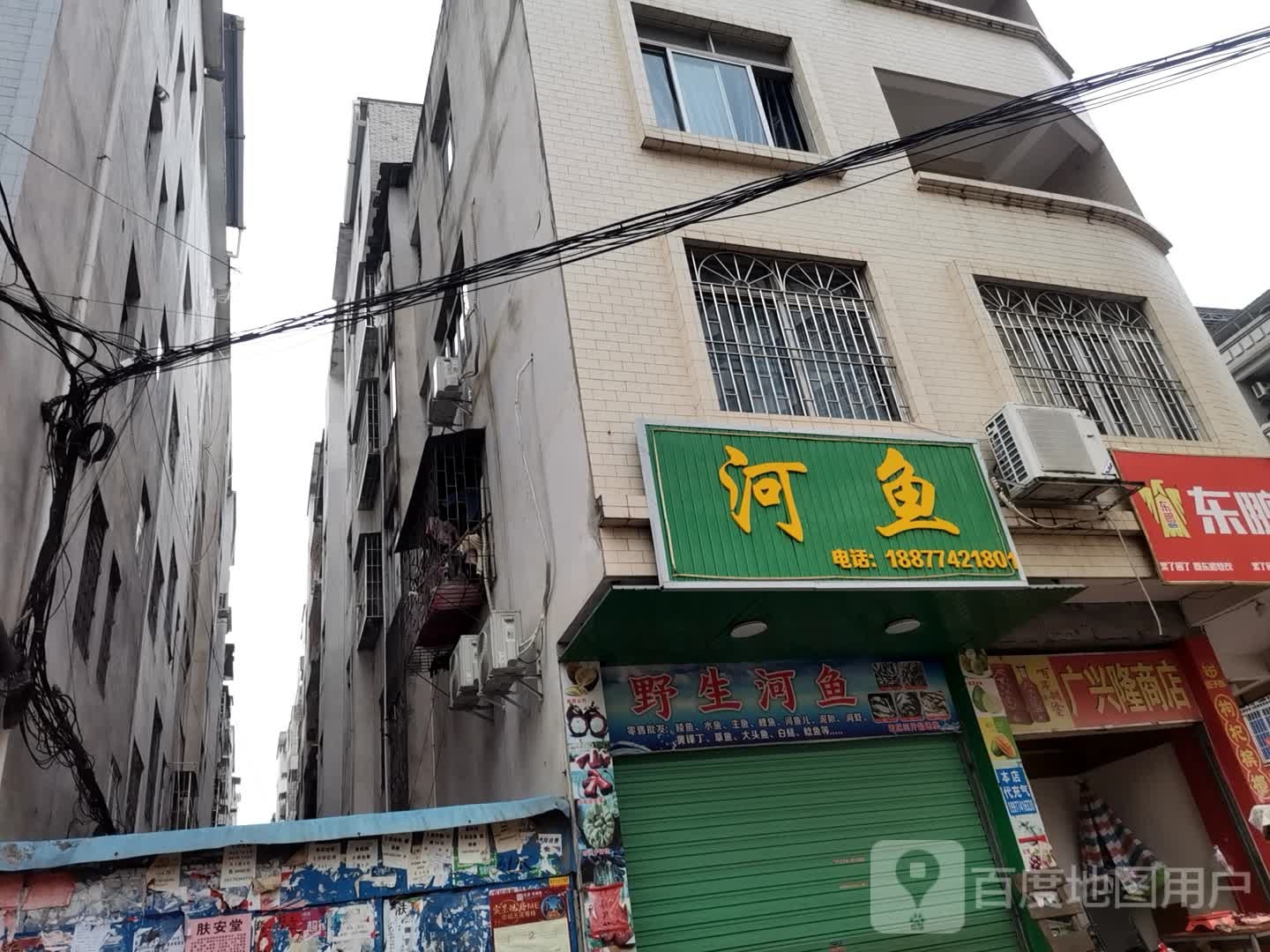 河鱼