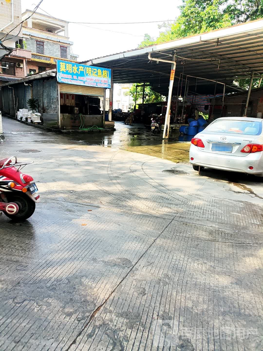 莫明水产(明记鱼档)