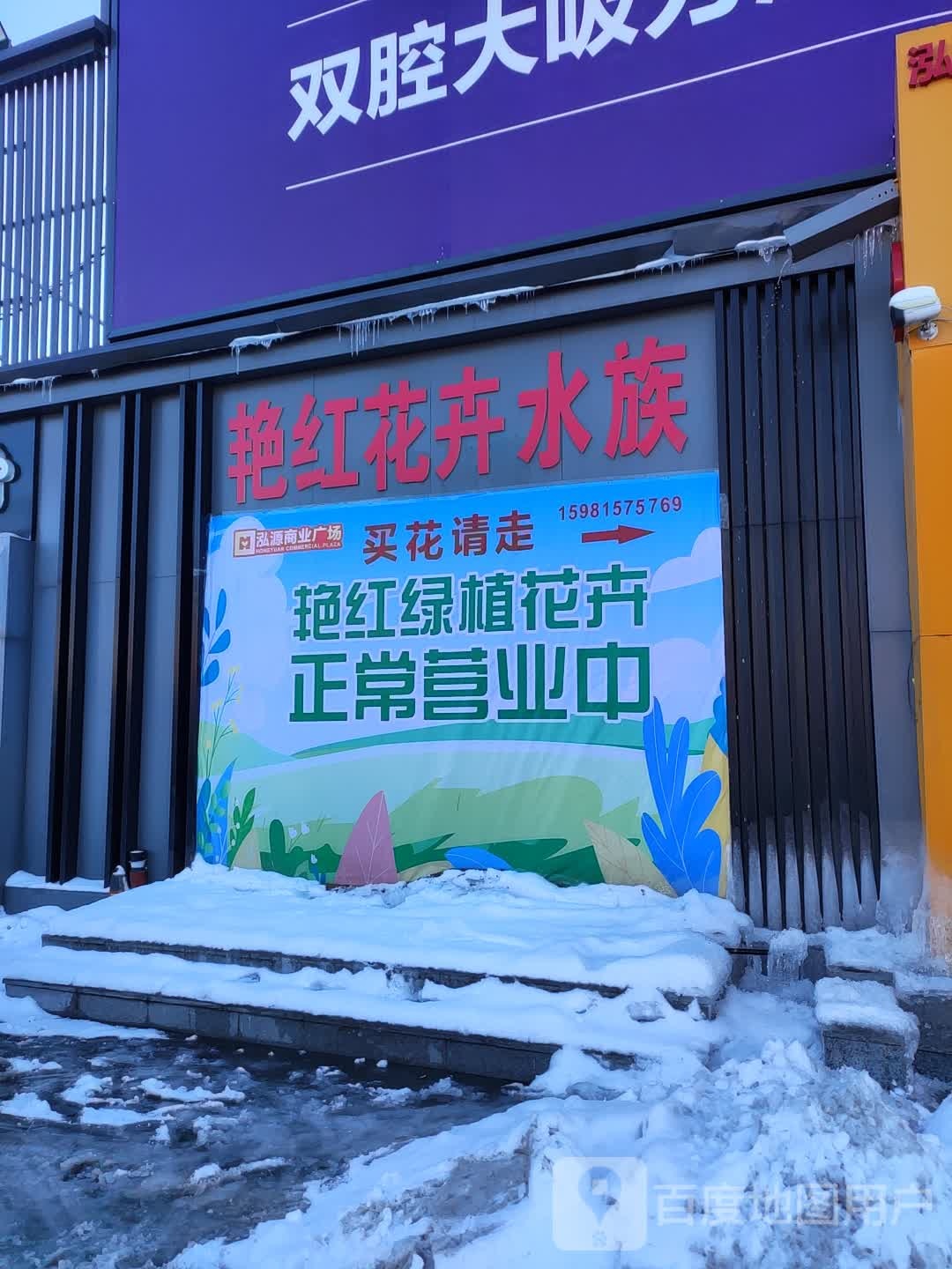 艳桃花卉水族