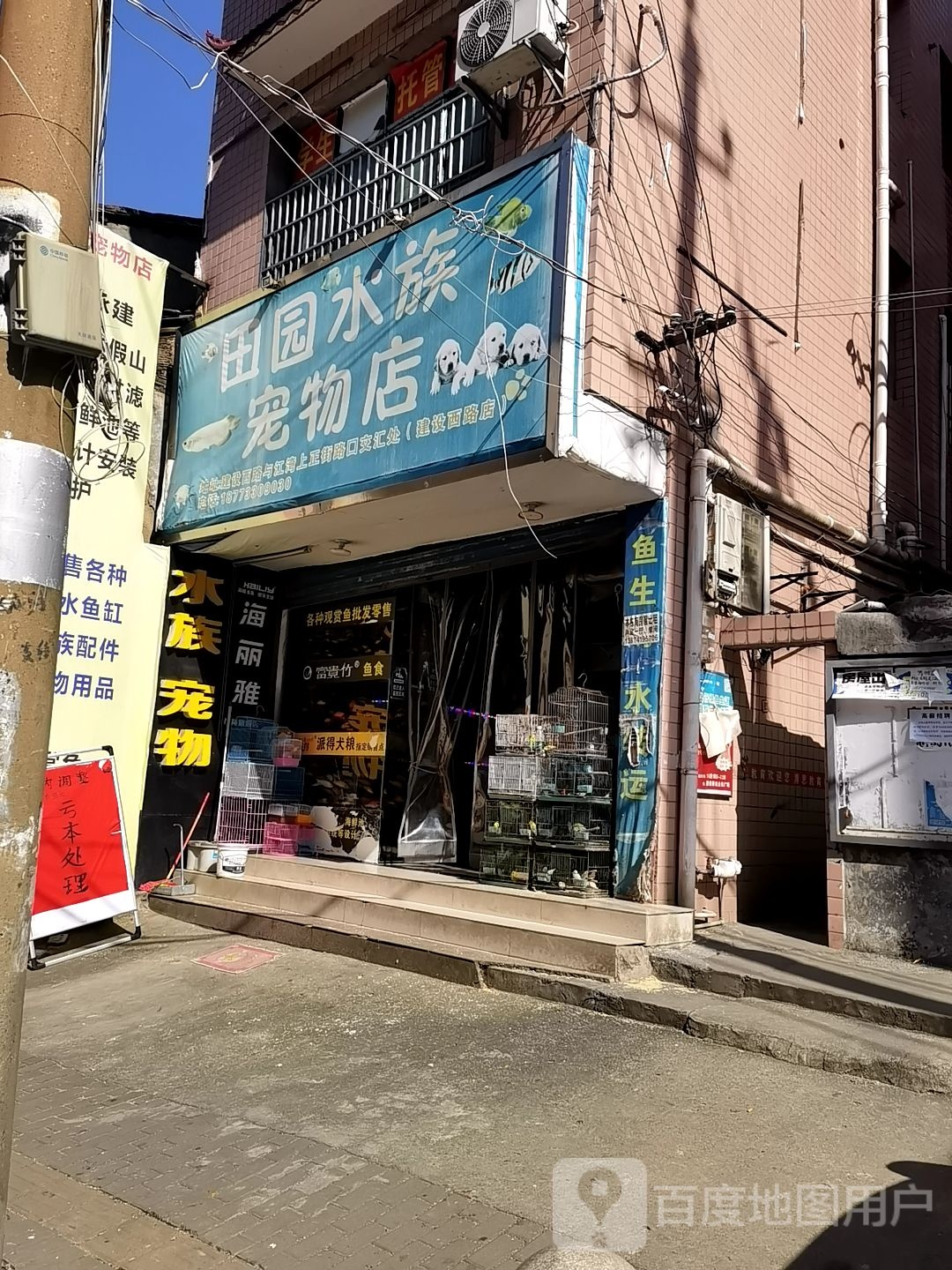 田园水族萌宠物店(建设西路店)