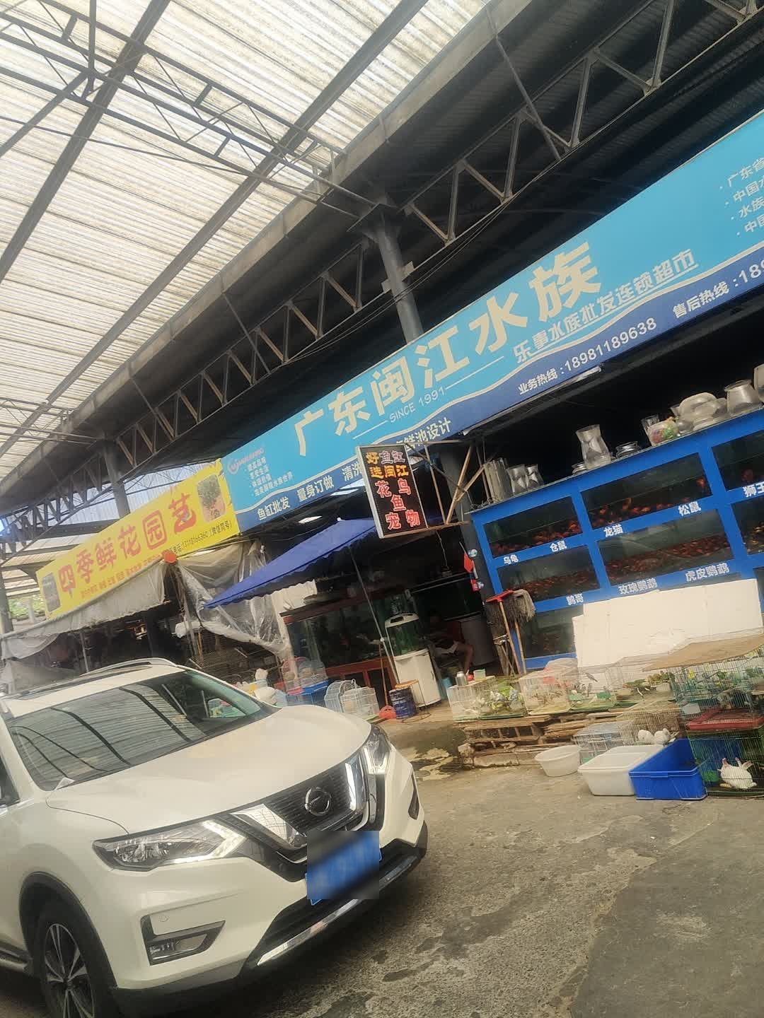 广东闽江水族(三里花卉宠物市场店)