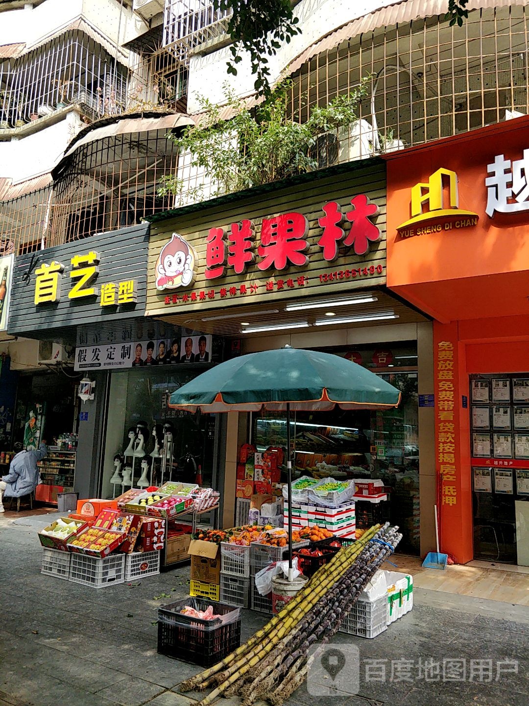 鲜果林水果店(百园路店)