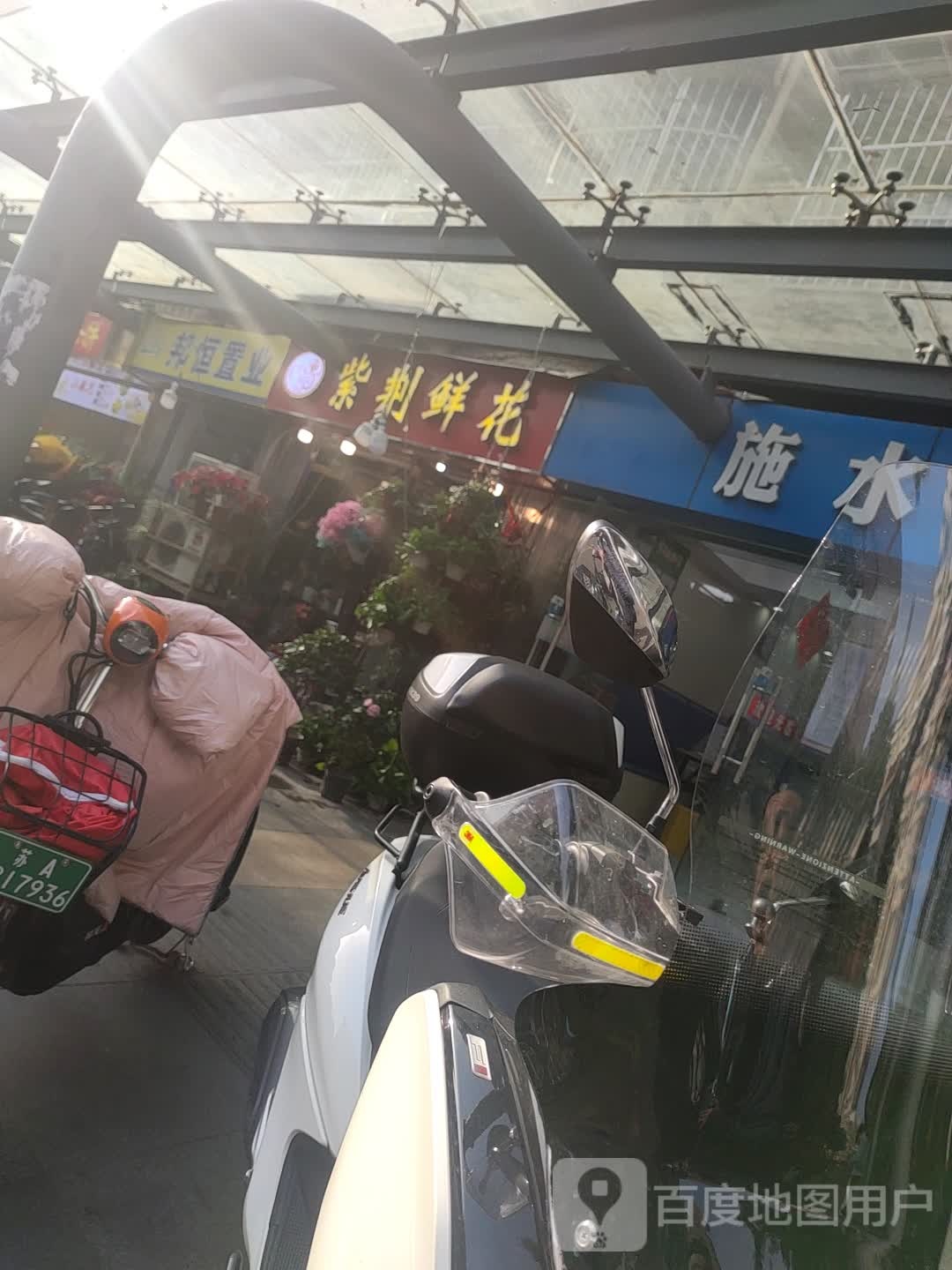 紫荆鲜花