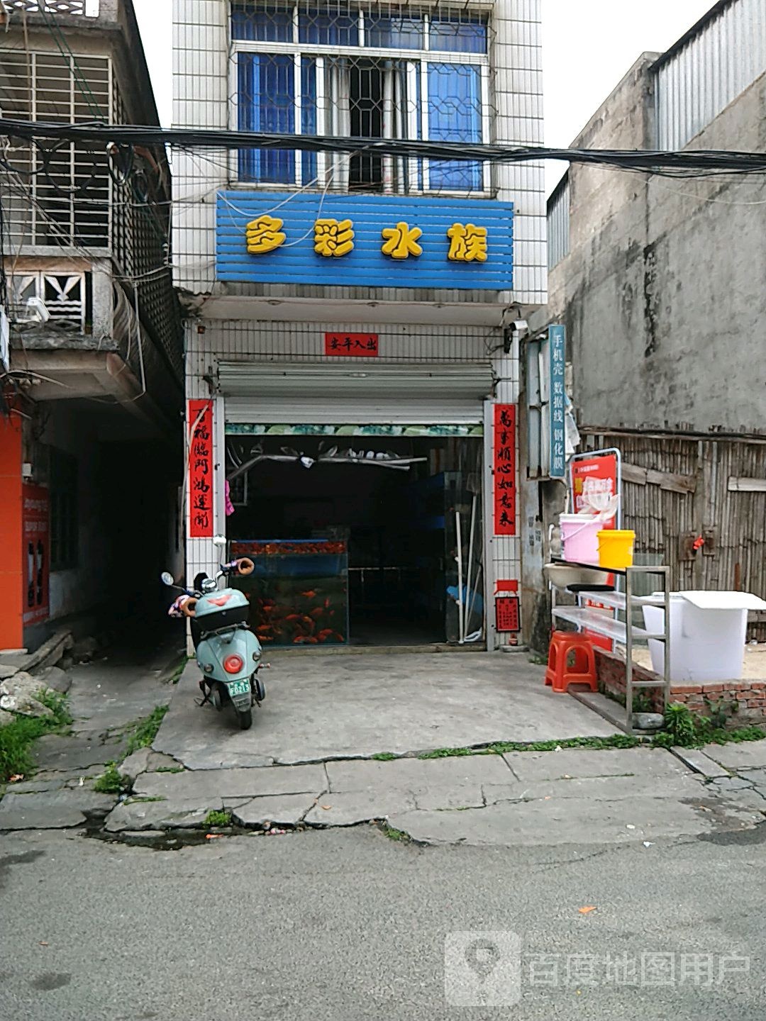 多彩水族(定海北路店)