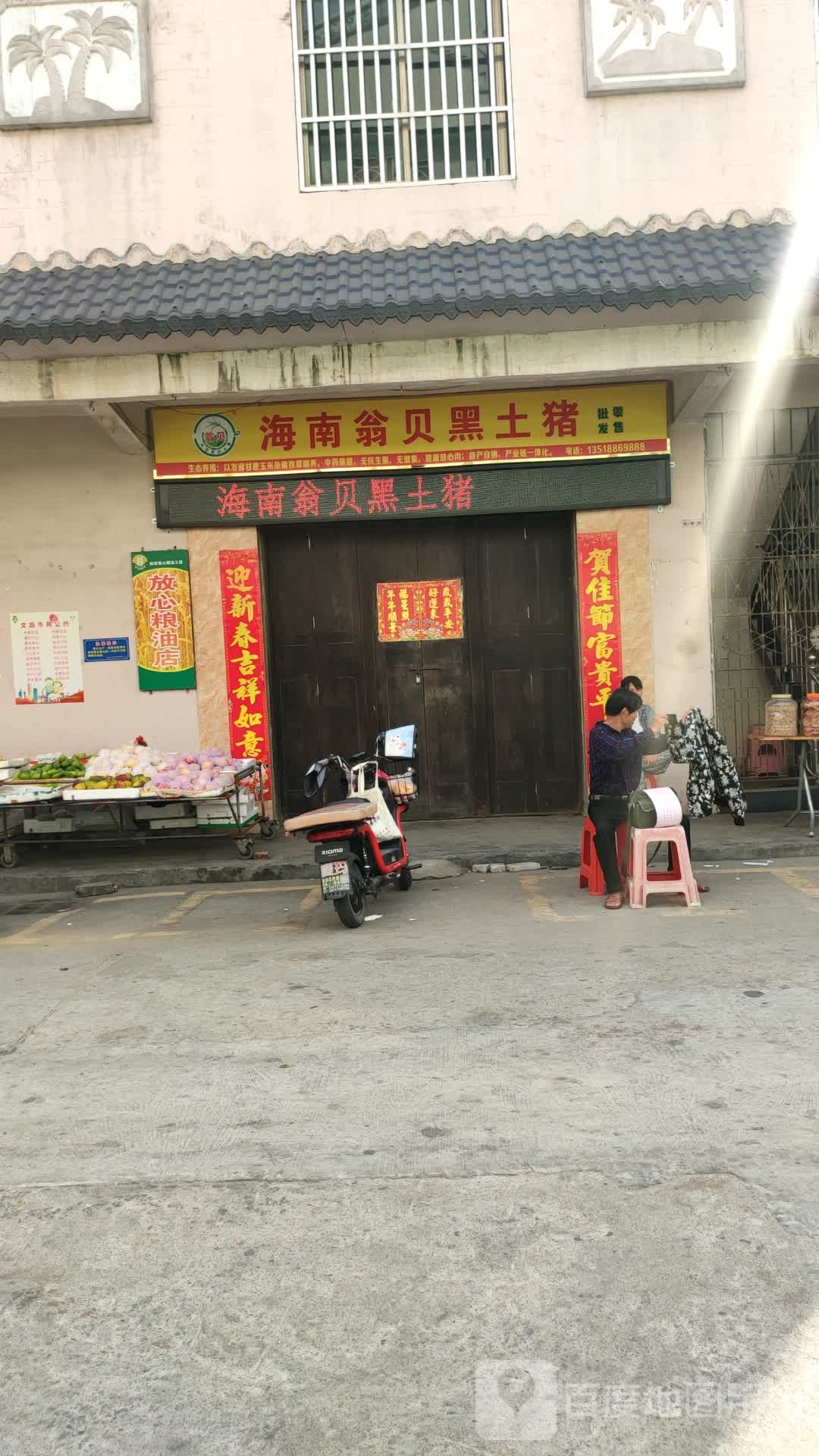 海南翁贝黑土猪