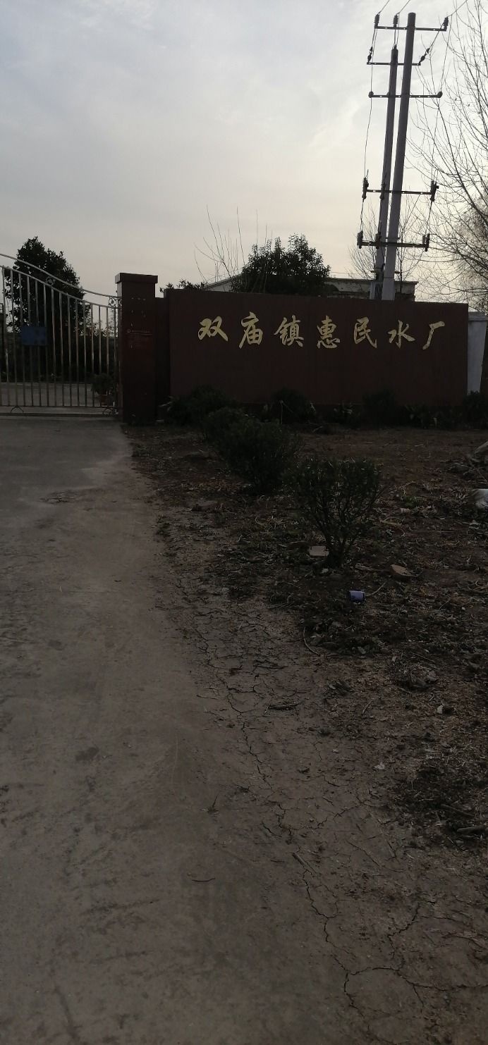 闫越木材收购加工厂