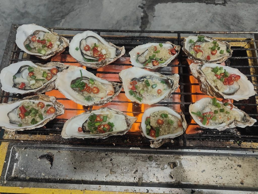 炭火烧烤(新华路店)