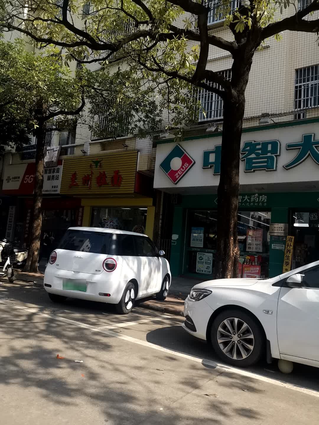 兰州拉面(马安店)