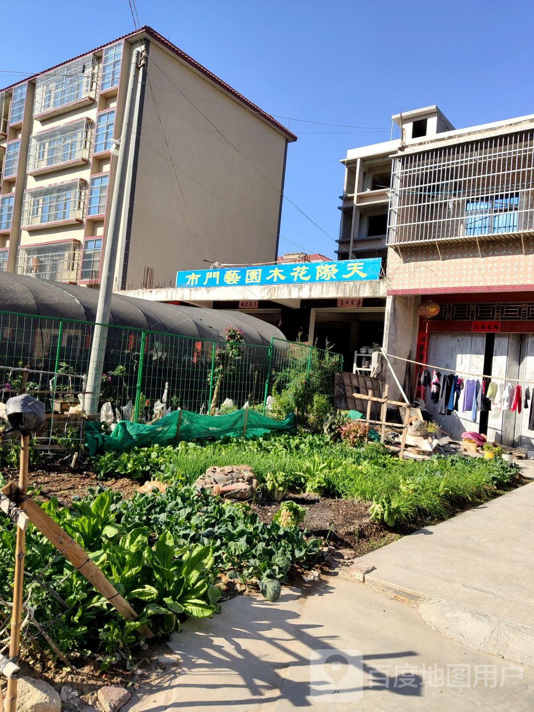 天际花木园艺门市