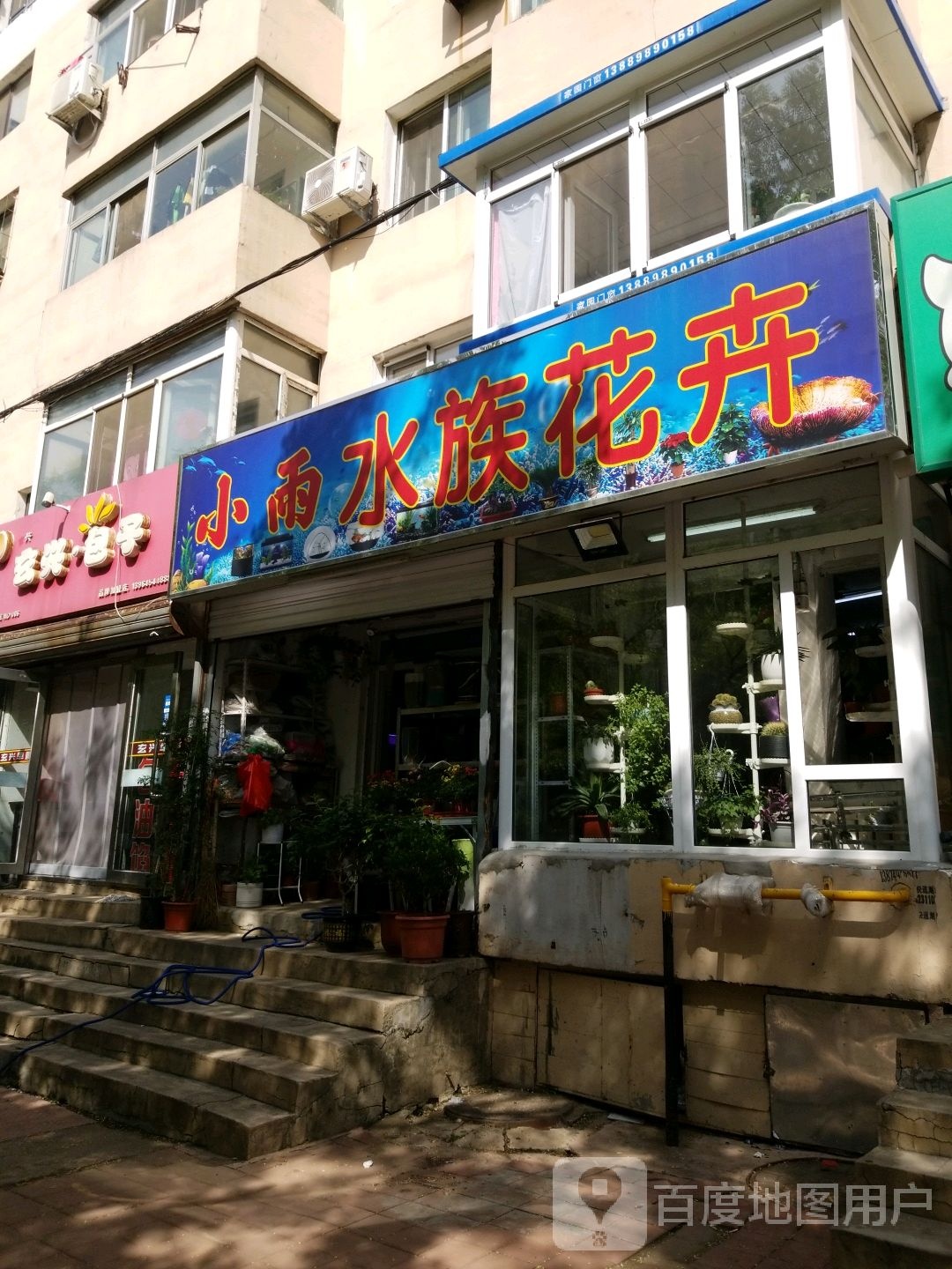 小雨车族花卉