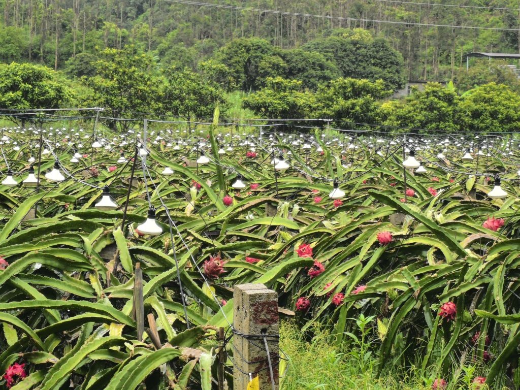 钦州娥眉湾生态园