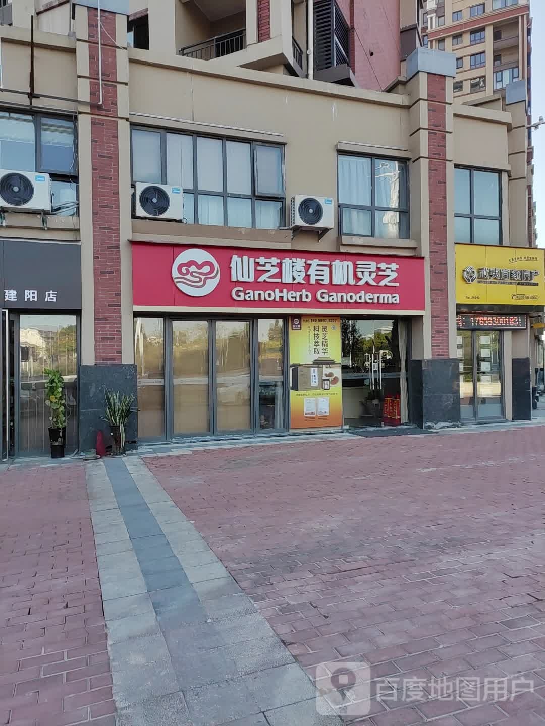 仙芝楼有机灵芝(南平市万达店)