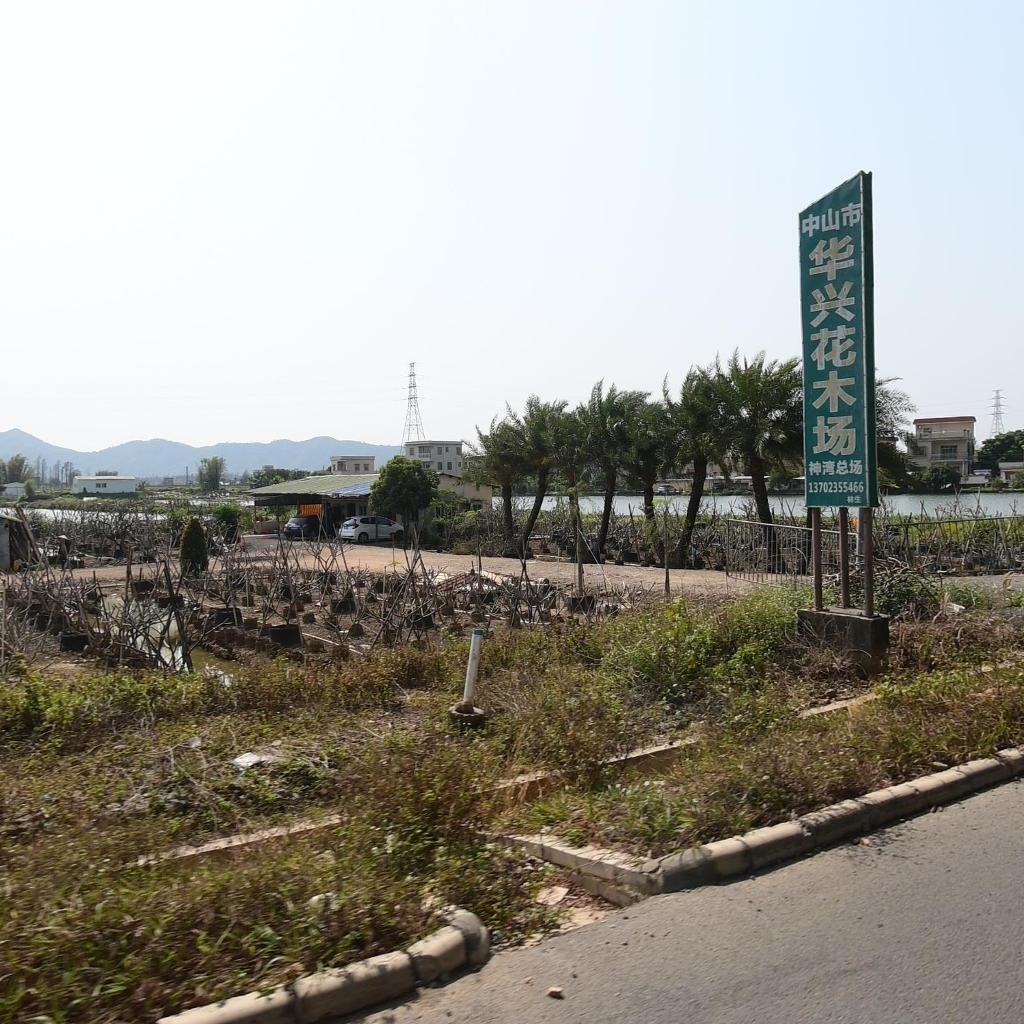 中山市华兴花木场