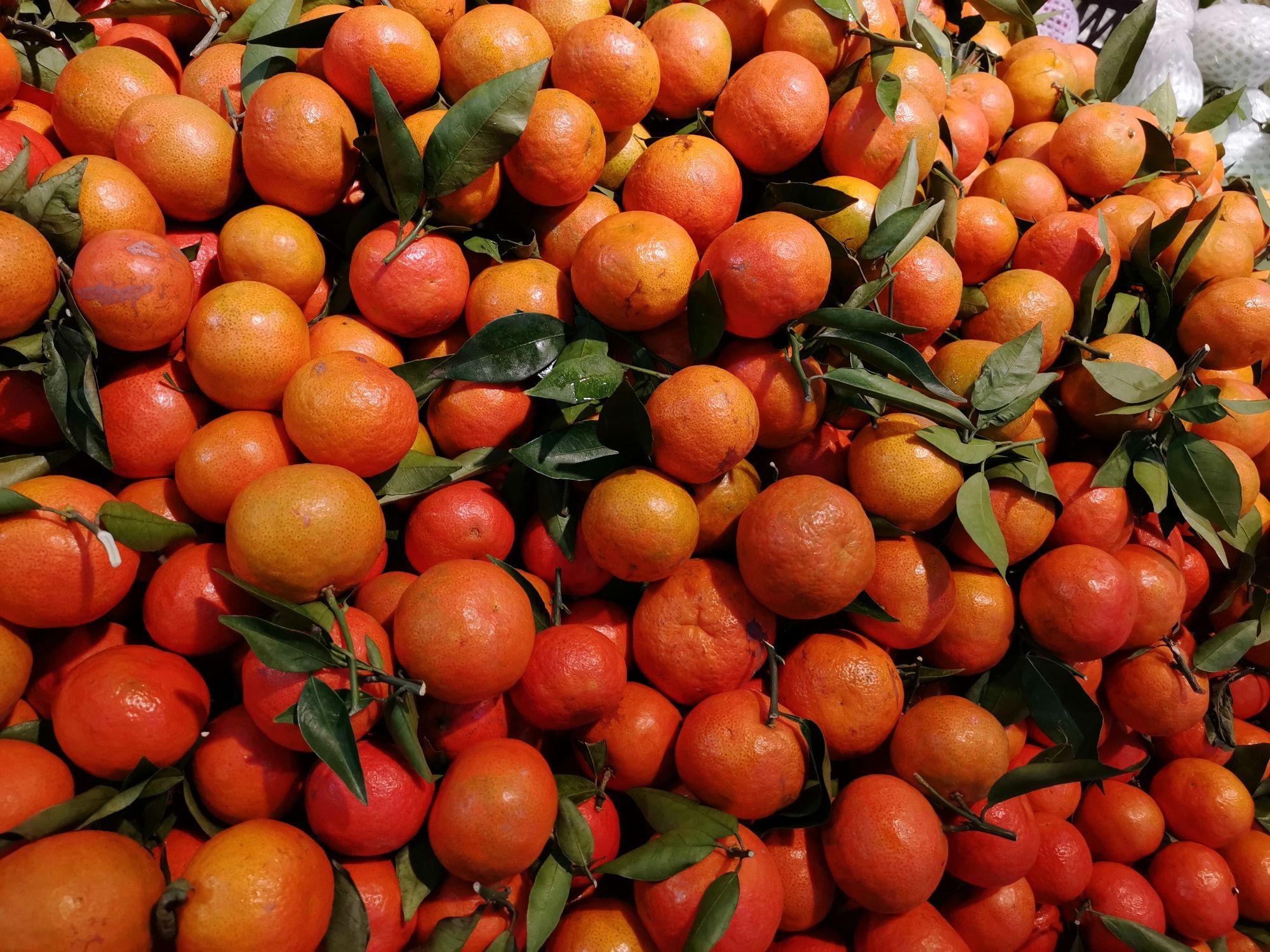 华宇购物广场(杨梅店)