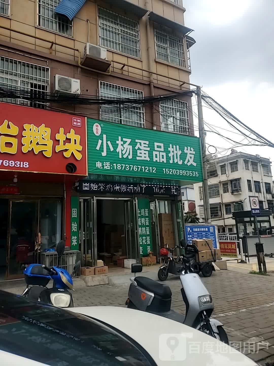 小杨蛋品批发