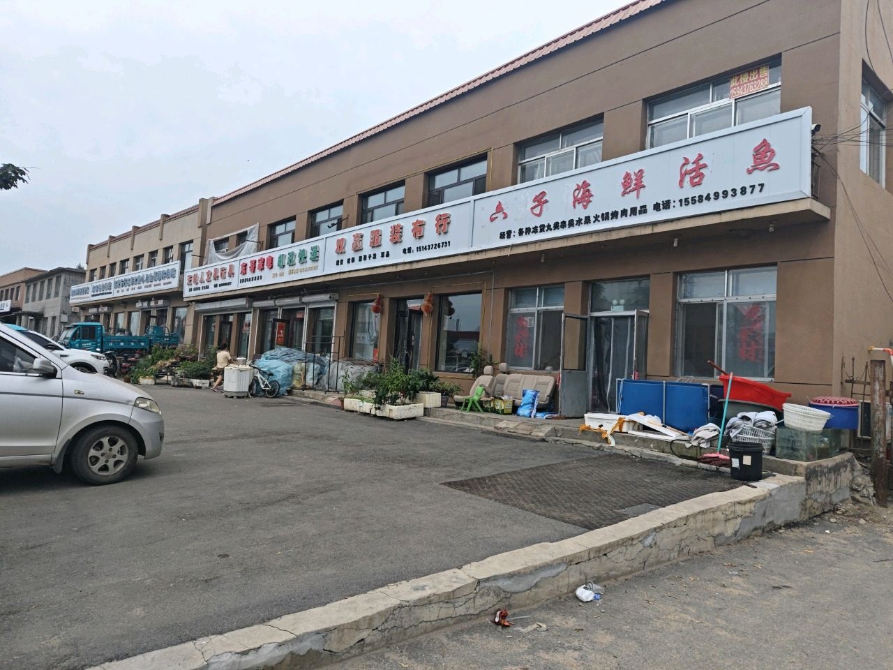 六子海鲜活鱼