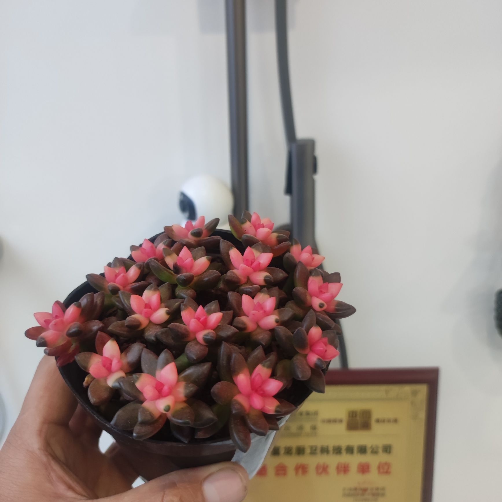 刷新家装饰维修服务