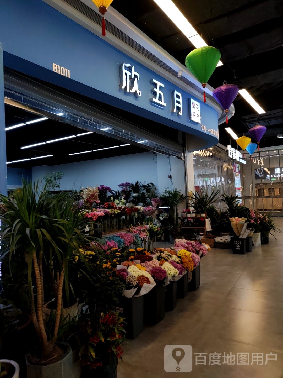 欣五月鲜花超市(六安吾悦广场店)
