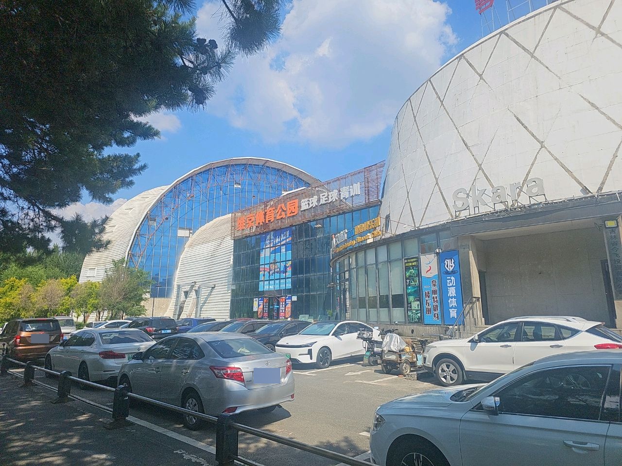 维京体育公园