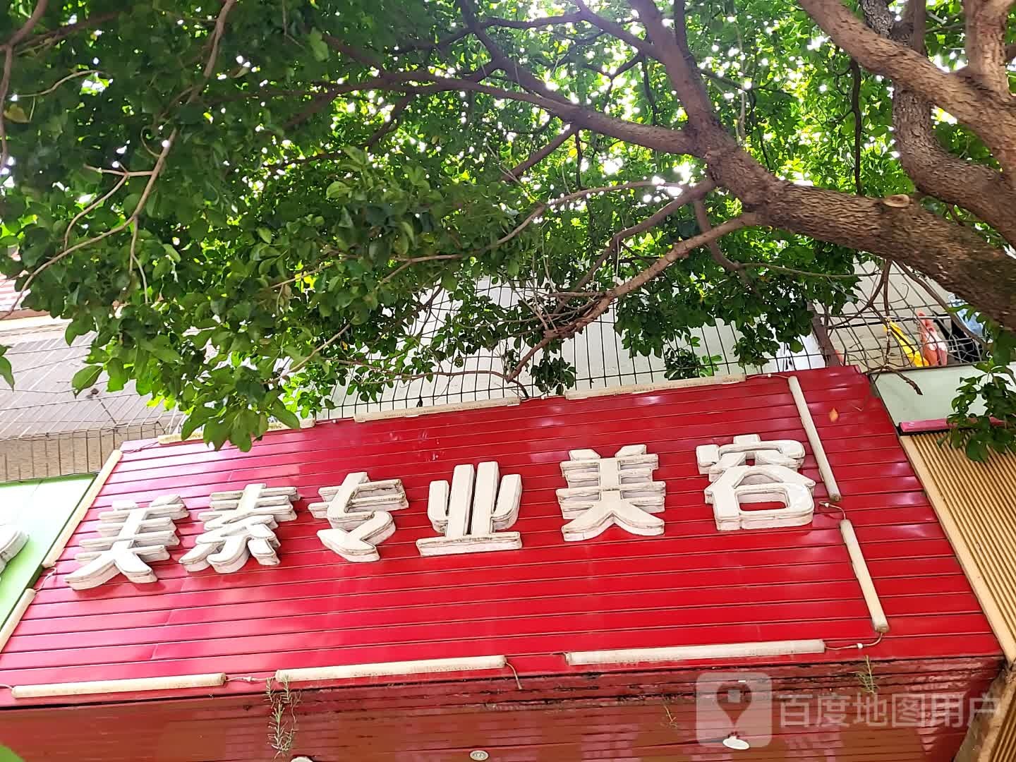 美素专业美容(宝真广场店)