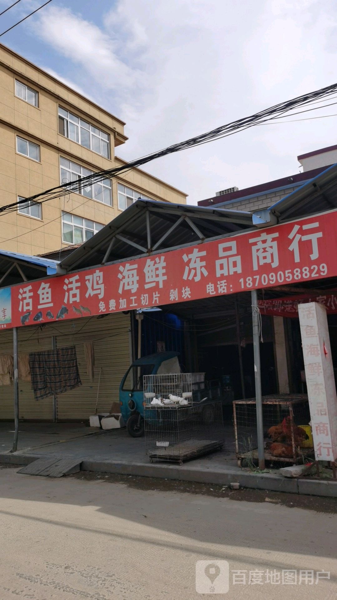 沈丘县槐店回族镇活鱼海鲜冻品商行