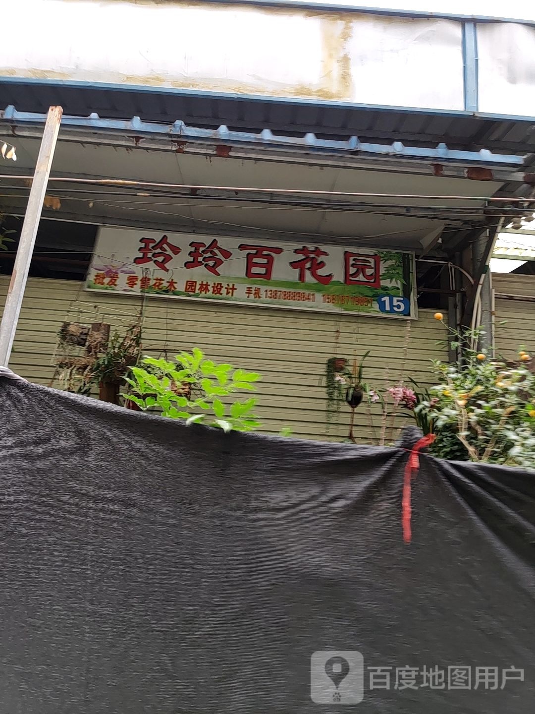 玲玲百花园