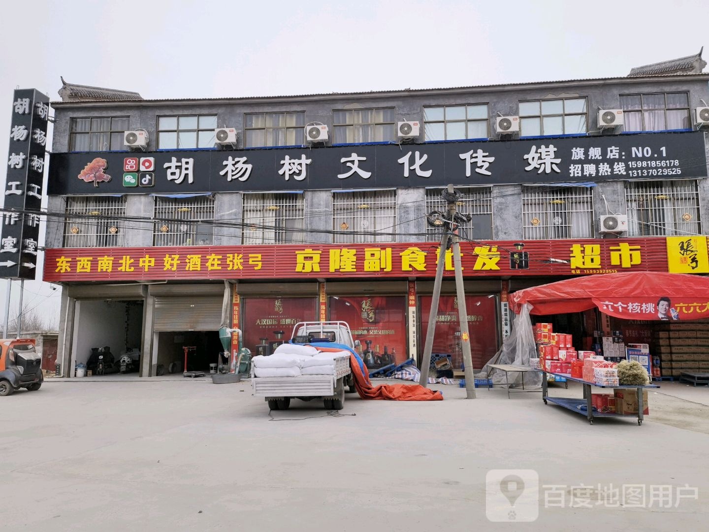 胡杨树文化。传媒