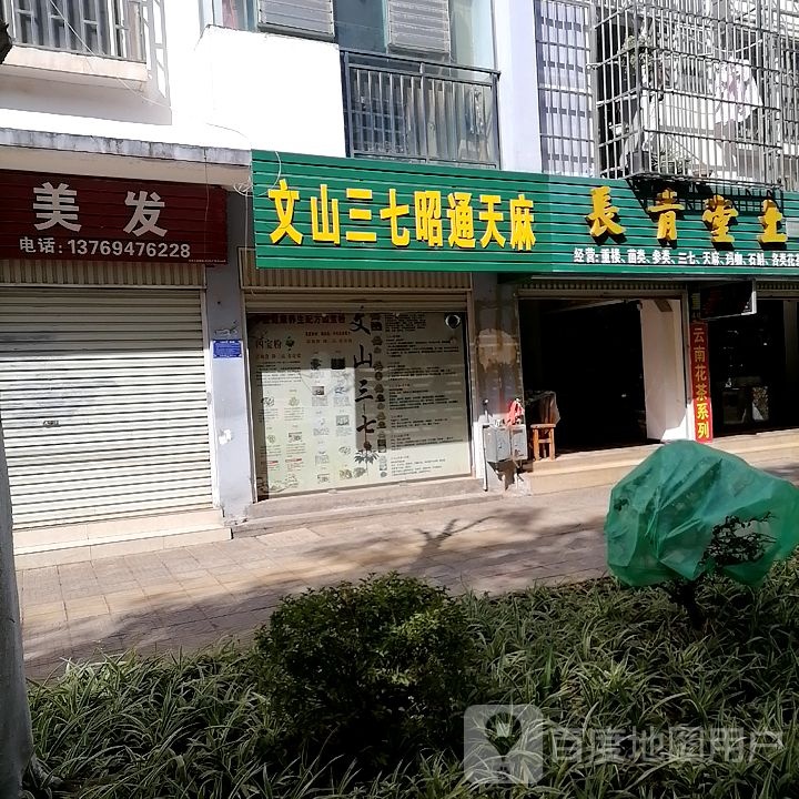 文山三七昭通天麻(复兴路店)