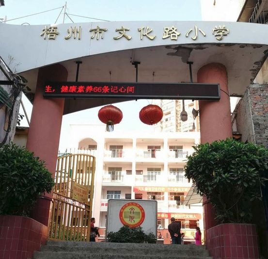 文化路小学