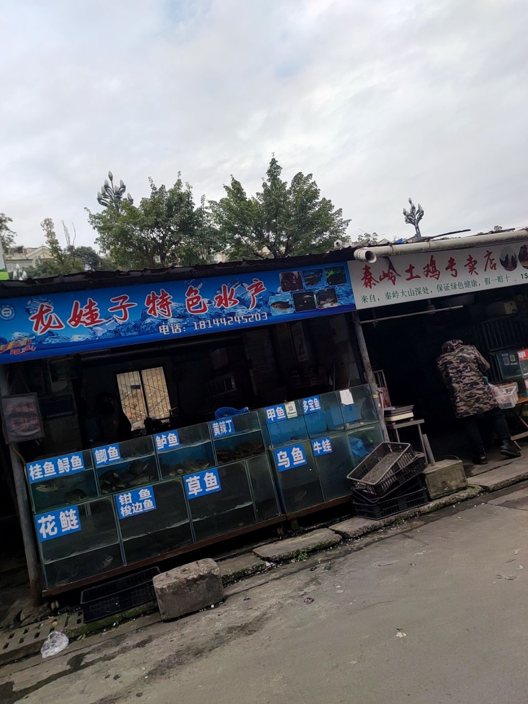 龙娃子特色水产
