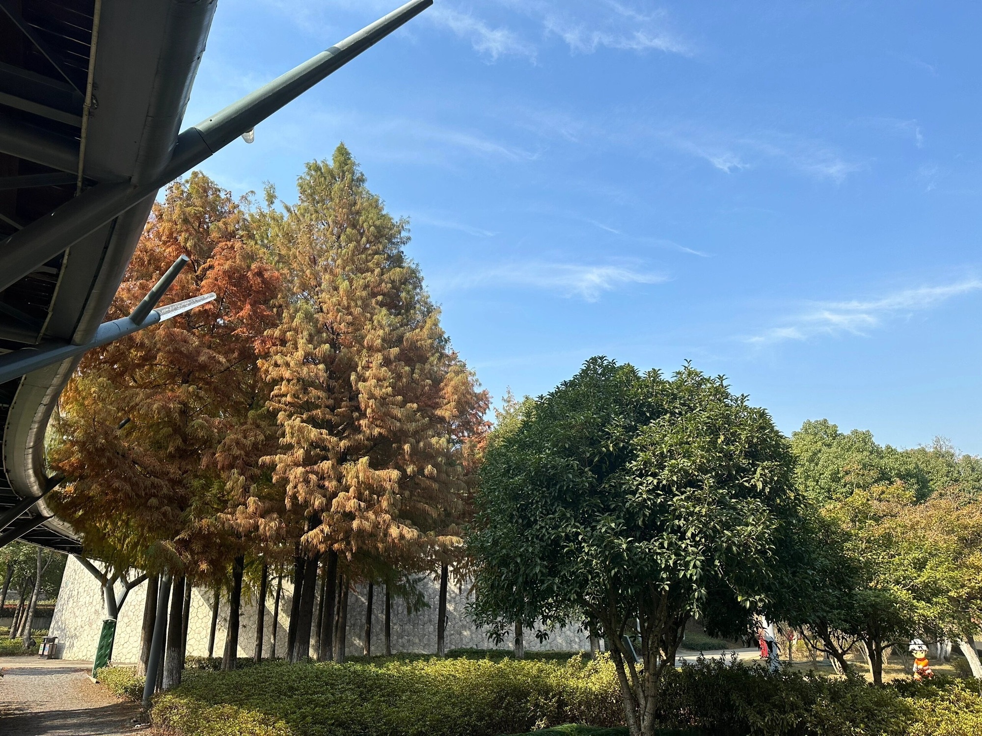 天鹅湖公园