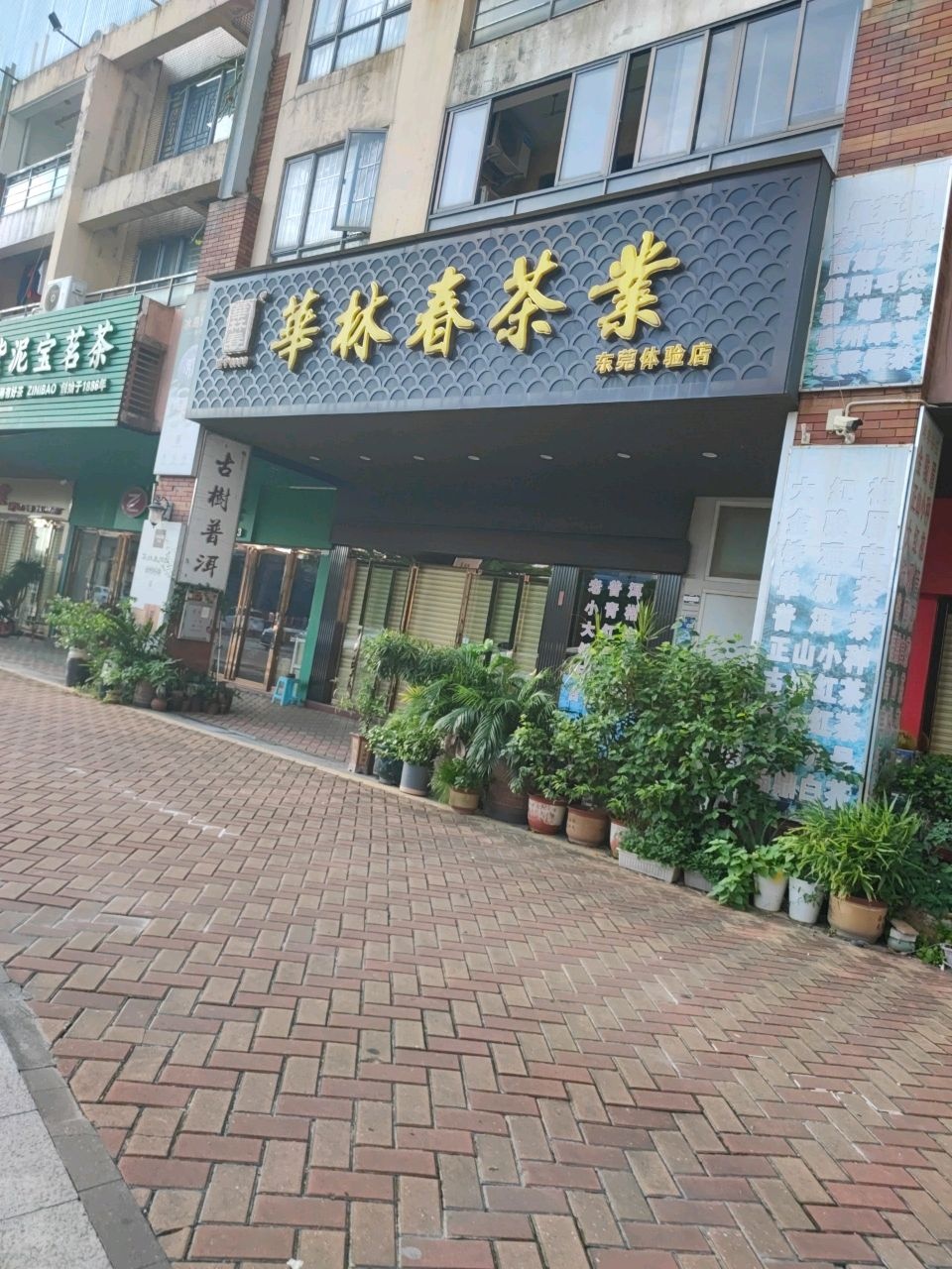 华林春茶业(东莞体验店)