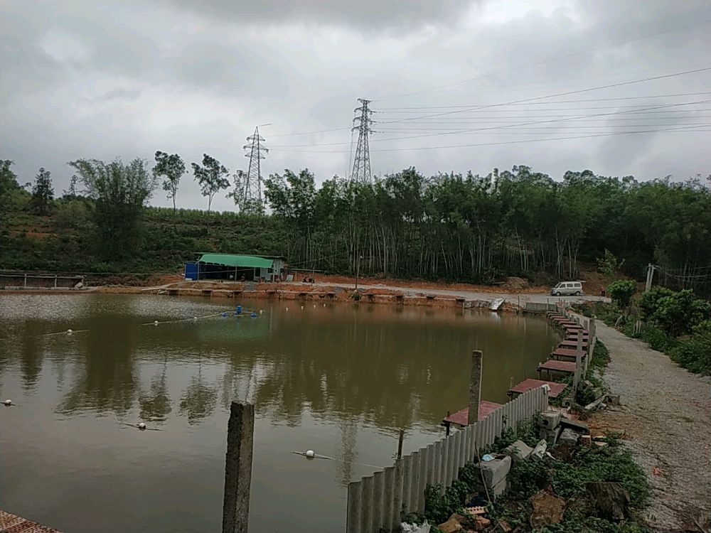 南宁市兴宁区五塘镇龙头钓场