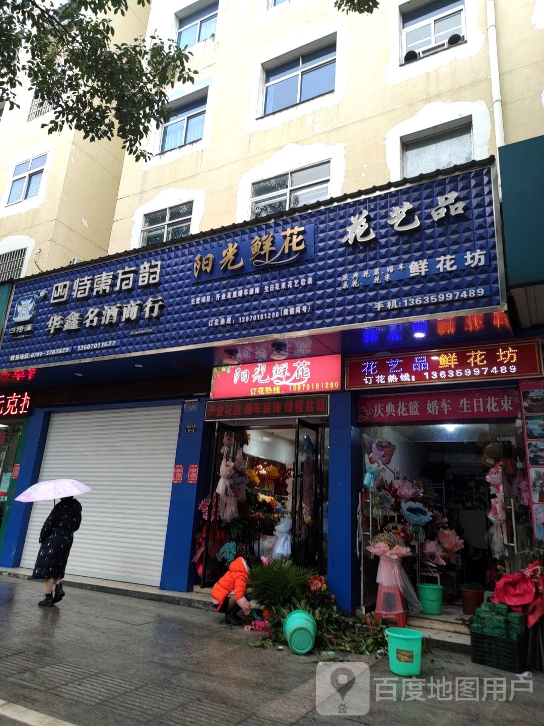 阳光鲜花
