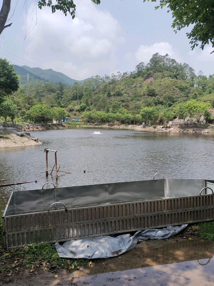 洗马湖钓场